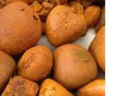 100% Natural Cattle/Ox Gallstones