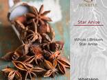 Anis Star from Vietnam - photo 1