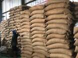 Arabica Coffee for sale | Robusta Coffee Supplier - photo 2