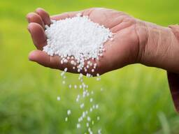 Best quality Urea 46% N Nitrogen fertilizer Urea 46 Prilled Granular/Urea Fertilizer