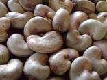 Cashew Nut Size W180 W240 W320 W450/ Certified WW320 Dried Cashew for Sale - фото 8