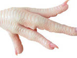 Chicken - фото 3