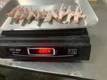 Chicken feet. - фото 3