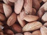 Dried Fruits and Nuts for Export - photo 5