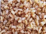 Dried Fruits and Nuts for Export - photo 6