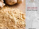Dry Whole Ginger from Vietnam - фото 2