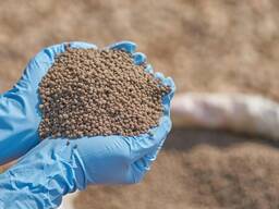 Fertilizer DAP Diammonium Phosphate for Sale