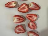 Freeze dried fruits wholesale - photo 12