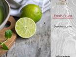 Fresh Seedless Lime from Vietnam - фото 1