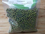 Green mung beans - фото 2
