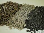 Greenfield Incorporation sells Sunflower Meal /wholesale/ - photo 1