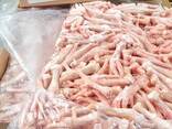 High Quality Chicken Paws/Wholesale Frozen Chicken Feet for Sale at Best Price - фото 1