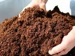 Компост на основе куриного помета гумифицированный удобрение - фото 1