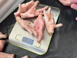 Куриные лапы плюсны с экспортом chicken paws grade a 30 a