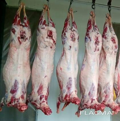 LAMB AND MUTTON