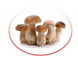 Porcini mushrooms whole frozen - photo 1