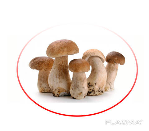 Porcini mushrooms whole frozen