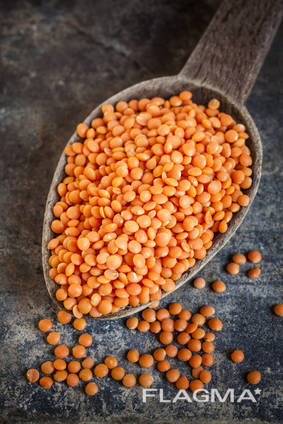Red lentils
