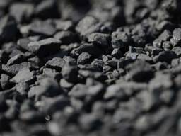 Shikhta steam coal