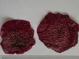 Soft Dry Tropical Fruits from Vietnam - photo 7