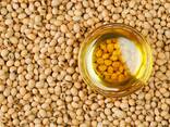 Soybean oil/대두유 - фото 1