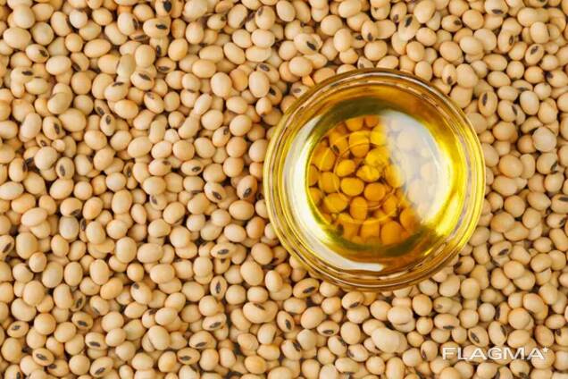 Soybean oil/대두유