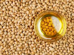Soybean oil/대두유