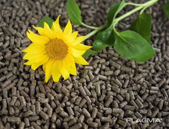 Sunflower husk pellets (sunflower fuel pellets)