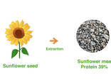 Sunflower meal, high protein 39%