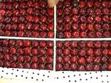 Sweet cherries - photo 3