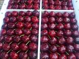 Sweet cherries - фото 5