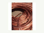 Top High Quality Copper Wire Scrap 99% for sale - photo 1