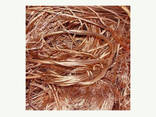 Top High Quality Copper Wire Scrap 99% for sale - photo 2