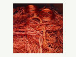 Top High Quality Copper Wire Scrap 99% for sale - photo 3