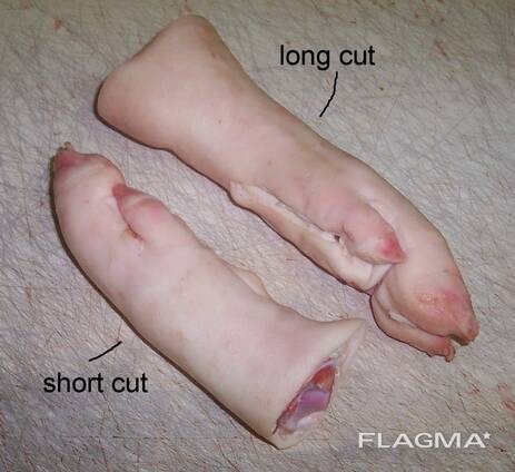 Approved Exporters of Frozen Porks , Frozen Porks Tail, Ears, Legs, Hind/ Frozen Pork