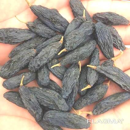 Виноград сушеный черный сорт (Сояки Гигант) без обработки экологический чистый.
