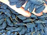 Виноград сушеный черный сорт (Сояки Гигант) без обработки экологический чистый. - фото 2