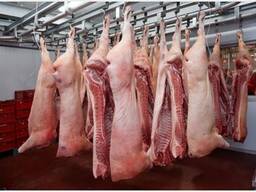 Wholesale Supply of Frozen Pork Meat From Spain