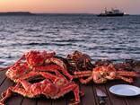 Эксклюзивное предложение по живым Камчатским и Сахалинским крабам премиум-класса Уважаемы - фото 1